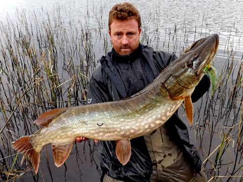 6 fly pike.jpg